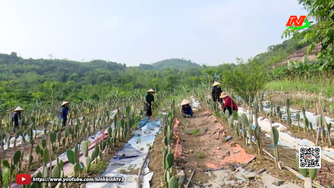 Mở rộng v&ugrave;ng trồng - Đảm bảo an to&agrave;n cung ứng n&ocirc;ng sản Việt
