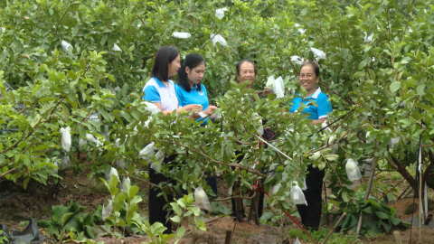 Ph&aacute;t huy vai tr&ograve; của phụ nữ Kh&aacute;nh Trung trong x&acirc;y dựng n&ocirc;ng th&ocirc;n mới n&acirc;ng cao, kiểu mẫu