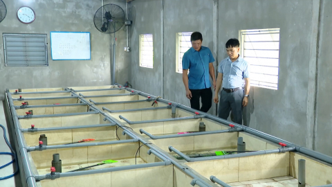 Gương n&ocirc;ng d&acirc;n học B&aacute;c để l&agrave;m gi&agrave;u cho qu&ecirc; hương