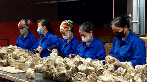 C&ocirc;ng ty TNHH xuất khẩu v&agrave; đầu tư Th&agrave;nh H&oacute;a điển h&igrave;nh trong sản xuất kinh doanh