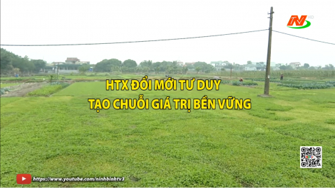 Hợp t&aacute;c x&atilde; đổi mới tư duy, tạo chuỗi gi&aacute; trị bền vững