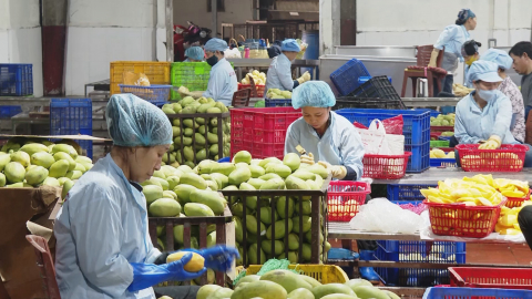 Quan t&acirc;m chăm lo đời sống hội vi&ecirc;n phụ nữ