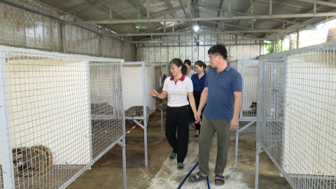 Chuyện nh&agrave; n&ocirc;ng học l&agrave;m kinh tế