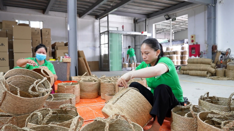 Đ&agrave;o tạo lao động, ph&aacute;t triển nghề c&oacute;i truyền thống