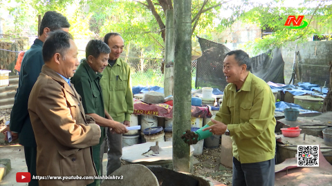 Lan tỏa phong tr&agrave;o cựu chiến binh học tập v&agrave; l&agrave;m theo B&aacute;c