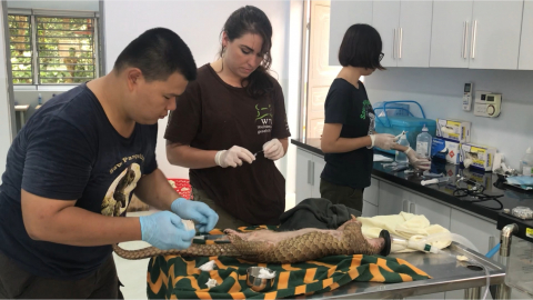 Bảo vệ mu&ocirc;ng th&uacute; &ndash; Bảo vệ tương lai 