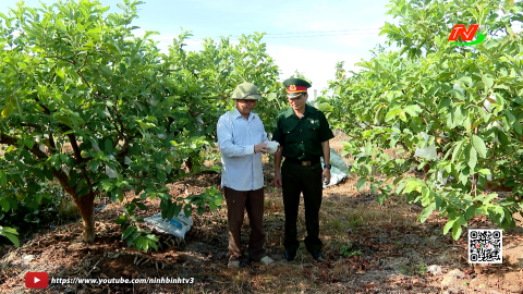 Cựu chiến binh Thanh Li&ecirc;m đẩy mạnh c&aacute;c phong tr&agrave;o thi đua