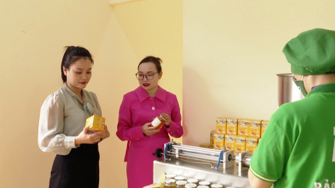 Phụ nữ học B&aacute;c - Gi&uacute;p nhau ph&aacute;t triển kinh tế