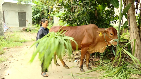Ph&uacute; Sơn chung tay giảm ngh&egrave;o