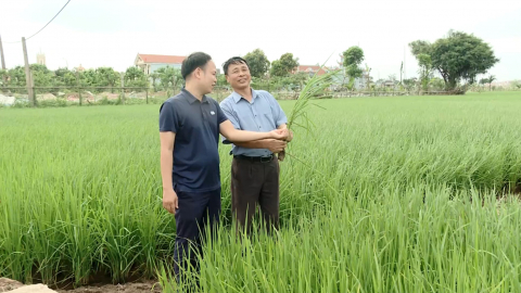 Quan t&acirc;m đầu tư hạ tầng thủy lợi, phục vụ sản xuất n&ocirc;ng nghiệp