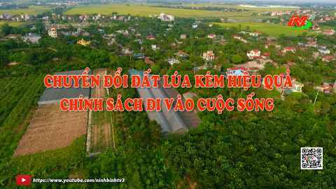 Chuyển đổi đất l&uacute;a k&eacute;m hiệu quả - Ch&iacute;nh s&aacute;ch đi v&agrave;o cuộc sống