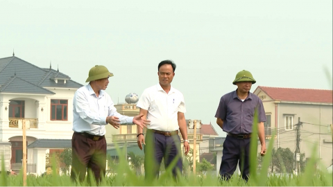Hiệu quả li&ecirc;n kết bốn nh&agrave; trong sản xuất l&uacute;a hữu cơ ở Kh&aacute;nh Trung
