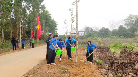 M&ugrave;a xu&acirc;n l&agrave; Tết trồng c&acirc;y