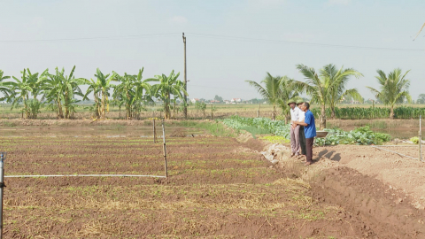 X&acirc;y dựng m&atilde; v&ugrave;ng trồng g&oacute;p phần chuyển đổi số trong n&ocirc;ng nghiệp