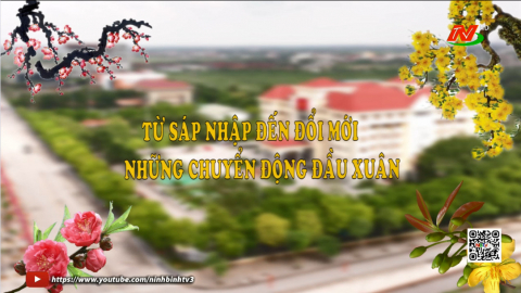 Từ s&aacute;p nhập đến đổi mới: Những chuyển động đầu xu&acirc;n