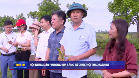Hội N&ocirc;ng d&acirc;n phường Kim Bảng tổ chức hội thảo đầu bờ