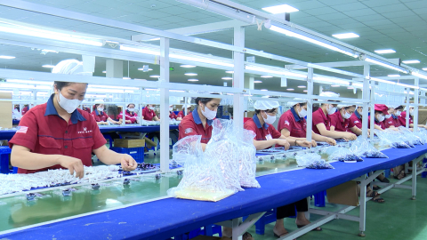 X&acirc;y dựng m&ocirc;i trường l&agrave;m việc an to&agrave;n, xanh v&agrave; bền vững