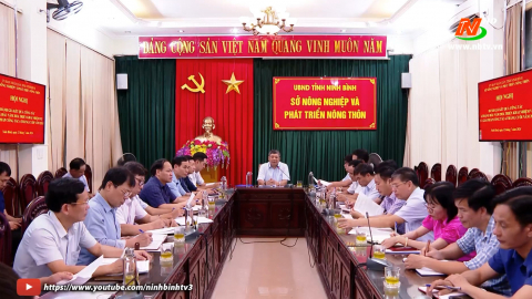 Sở NN&PTNT triển khai nhiệm vụ 6 th&aacute;ng cuối năm