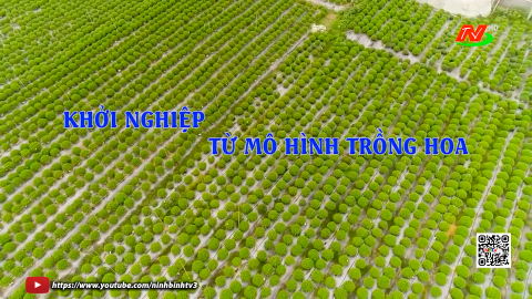 Khởi nghiệp từ m&ocirc; h&igrave;nh trồng hoa