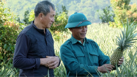Bảo hộ quyền sở hữu tr&iacute; tuệ - Đ&ograve;n bẩy n&acirc;ng tầm n&ocirc;ng sản Ninh B&igrave;nh