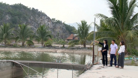 L&agrave;m gi&agrave;u từ m&ocirc; h&igrave;nh nu&ocirc;i c&aacute; s&ocirc;ng trong ao