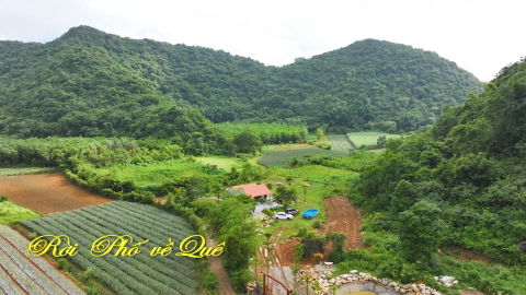 Rời phố về qu&ecirc;