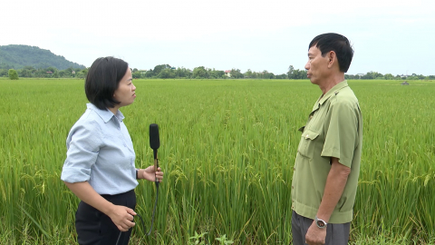 B&agrave;i to&aacute;n đầu ra n&ocirc;ng sản cho n&ocirc;ng d&acirc;n