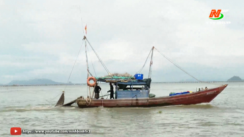 Ninh B&igrave;nh chung tay th&aacute;o gỡ &ldquo;thẻ v&agrave;ng&rdquo; cho thủy sản Việt Nam