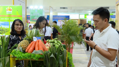 Thực phẩm Việt n&acirc;ng cao chất lượng tr&ecirc;n thị trường