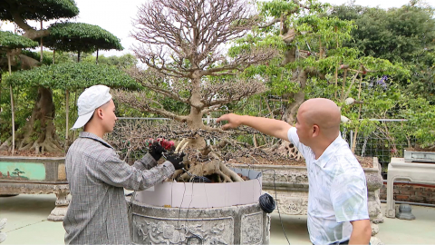 Vị Kh&ecirc; v&agrave;o Xu&acirc;n