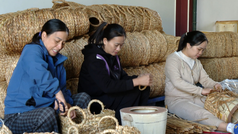 Phụ nữ Kh&aacute;nh Nhạc gi&uacute;p nhau ph&aacute;t triển kinh tế