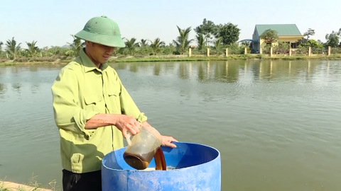 Ph&ograve;ng tr&aacute;nh dịch bệnh cho c&aacute; nước ngọt