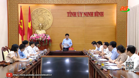 Thường trực Tỉnh ủy l&agrave;m việc với Ban Nội ch&iacute;nh Tỉnh ủy Phạm Phương Nhung