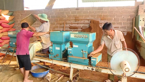 Ứng dụng thiết bị th&ocirc;ng minh trong sản xuất l&uacute;a