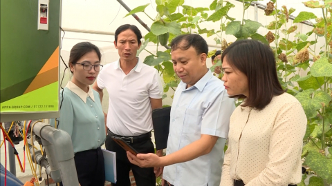Ph&aacute;t triển n&ocirc;ng nghiệp c&ocirc;ng nghệ cao gắn với chuyển đổi số