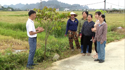 Gương điển h&igrave;nh trong học tập v&agrave; l&agrave;m theo lời B&aacute;c