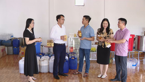 Bảo vệ v&agrave; n&acirc;ng cao gi&aacute; trị mật ong s&uacute; vẹt Kim Sơn bằng c&ocirc;ng cụ sở hữu tr&iacute; tuệ