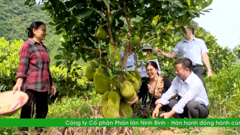 Ph&aacute;t triển c&aacute;c hợp t&aacute;c x&atilde; du lịch