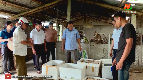 Kim Sơn ph&aacute;t triển kinh tế n&ocirc;ng nghiệp từ những m&ocirc; h&igrave;nh điểm