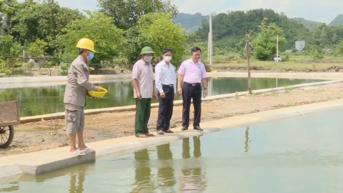 Hiệu quả nghị định 78 của ch&iacute;nh phủ tr&ecirc;n địa b&agrave;n th&agrave;nh phố Tam Điệp