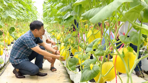 X&iacute;ch Thổ x&acirc;y dựng th&ocirc;n n&ocirc;ng th&ocirc;n mới kiểu mẫu