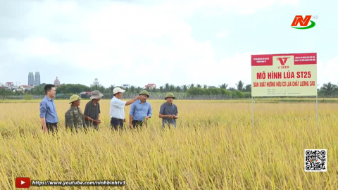 Li&ecirc;n kết 4 nh&agrave; - N&acirc;ng tầm gi&aacute; trị n&ocirc;ng sản Ninh B&igrave;nh