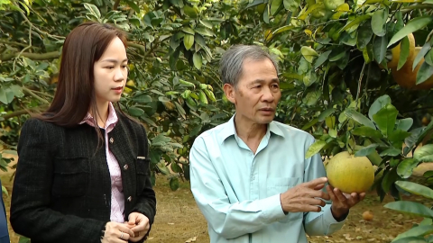 Dấu ấn t&iacute;n dụng ch&iacute;nh s&aacute;ch năm 2025 ở Ninh B&igrave;nh