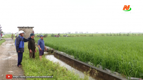 Kim Sơn chủ động ph&ograve;ng, chống ngập &uacute;ng bảo vệ sản xuất n&ocirc;ng nghiệp