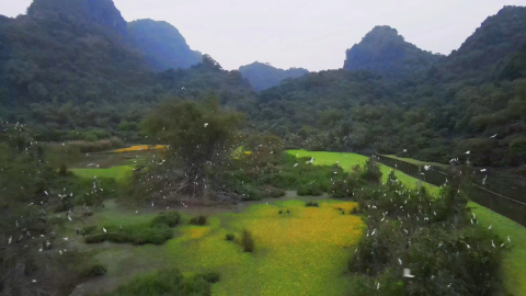 Thung Nham &ndash; Bản giao hưởng miền nhiệt đới
