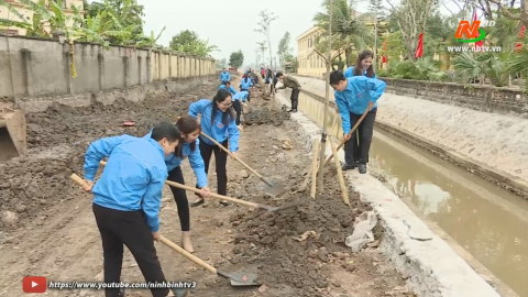 Tỉnh Đo&agrave;n Ninh B&igrave;nh ph&aacute;t động tết trồng c&acirc;y