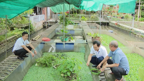Những n&ocirc;ng d&acirc;n học v&agrave; l&agrave;m theo gương B&aacute;c