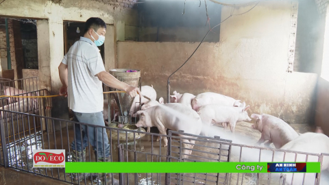 Triển khai thực hiện th&aacute;ng vệ sinh, ti&ecirc;u độc khử tr&ugrave;ng