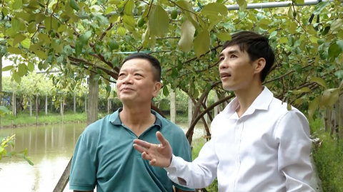 N&ocirc;ng d&acirc;n Kh&aacute;nh Nhạc thi đua sản xuất, kinh doanh giỏi
