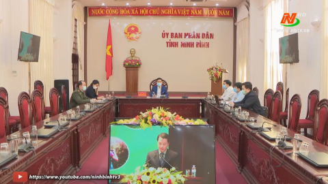 Hội nghị trực tuyến ph&aacute;t triển kinh tế dưới t&aacute;n rừng c&aacute;c tỉnh trung du miền n&uacute;i ph&iacute;a Bắc